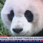 Why Is Everyone Leaving Fox 5 Dc