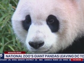 Why Is Everyone Leaving Fox 5 Dc