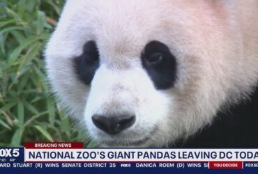 Why Is Everyone Leaving Fox 5 Dc