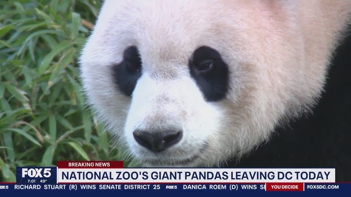 Why Is Everyone Leaving Fox 5 Dc