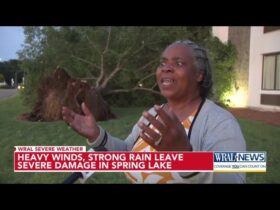 Why Is Everyone Leaving Wral